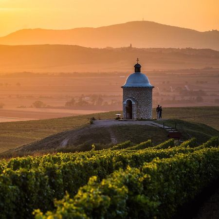 Vinoza - Ubytovani A Vinny Sklep Velke Bilovice Rulandova Eksteriør billede
