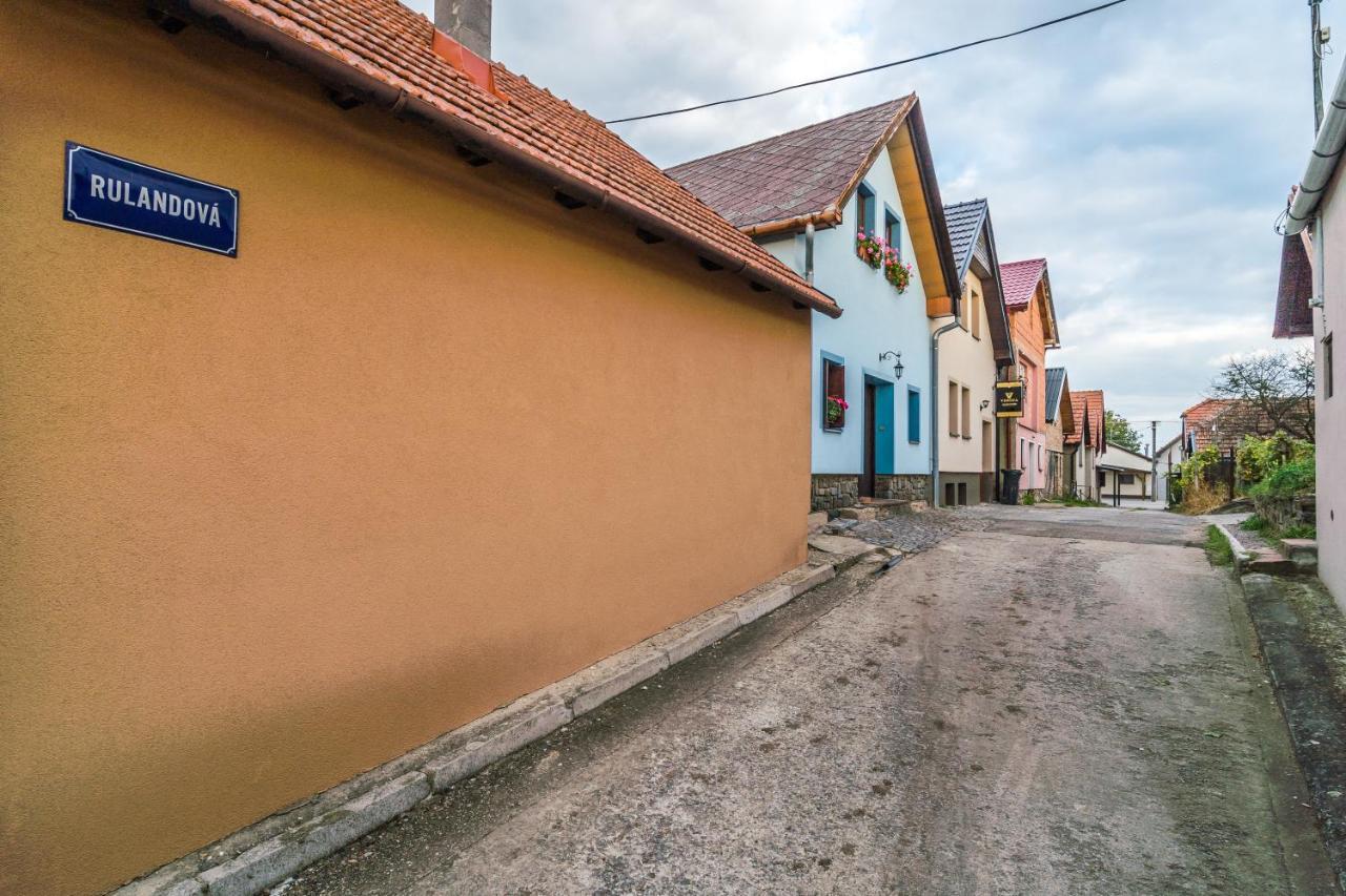 Vinoza - Ubytovani A Vinny Sklep Velke Bilovice Rulandova Eksteriør billede