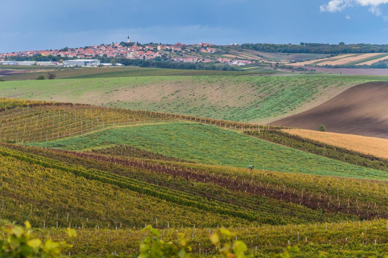 Vinoza - Ubytovani A Vinny Sklep Velke Bilovice Rulandova Eksteriør billede